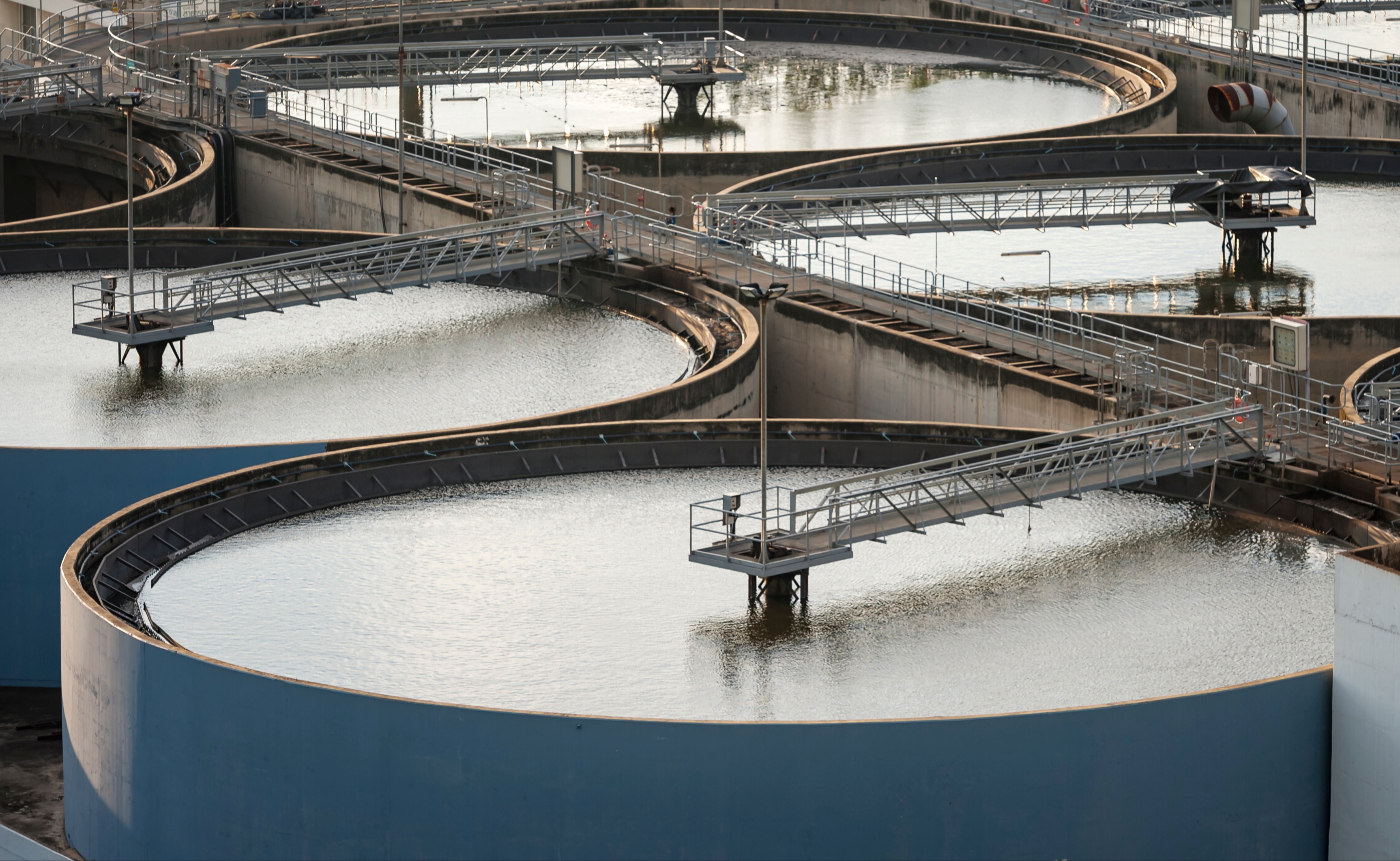 A Bioprocess Aiming at Specific Micropollutants Reduction