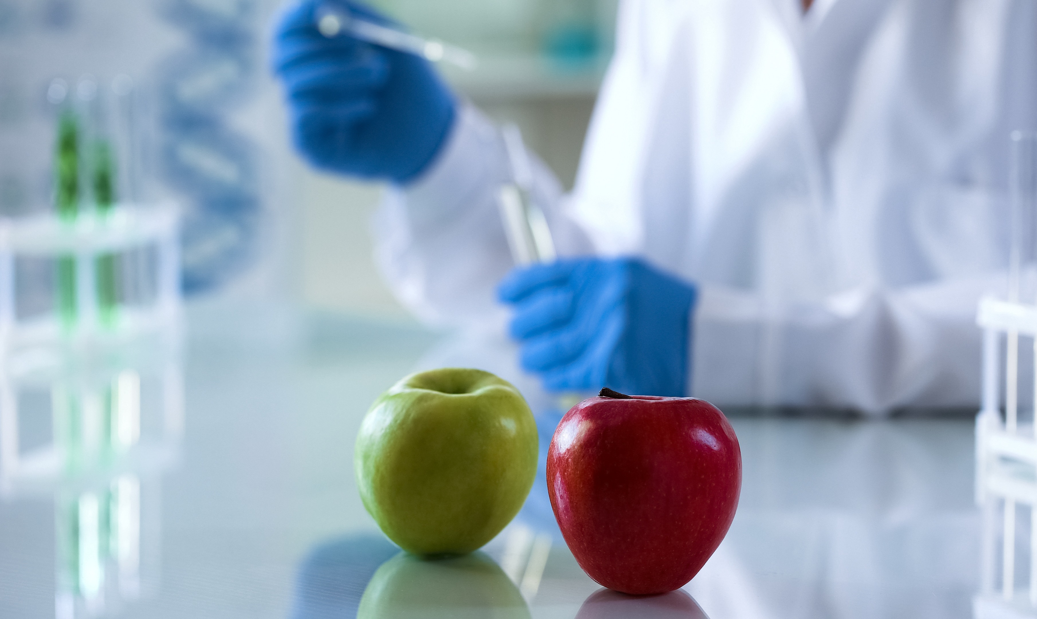 Production of Triterpene-hydroxycinnamate From Apple Cell Suspension Culture